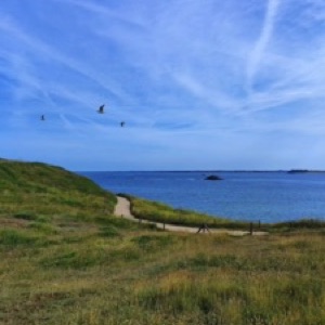 Des morceaux de Bretagne sud avec @mai_lv et @juliepetillot 👌.#france #landscape #bretagne